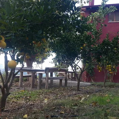Paradise *