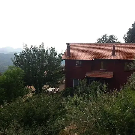 Paradise Villa *