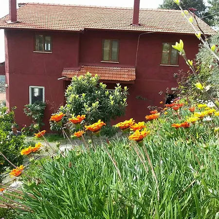 Paradise Villa Ortaca (Mugla)